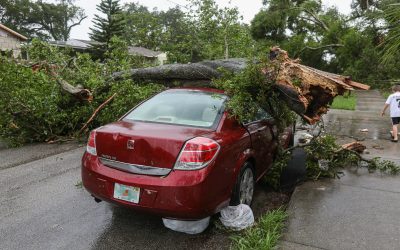Hurricane Evacuation: Essential Financial Documents for Your Grab-and-Go Box
